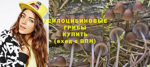 марки nbome Алзамай