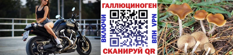 маркетплейс официальный сайт hydra ONION Арск Галлюциногенные грибы MAGIC MUSHROOMS